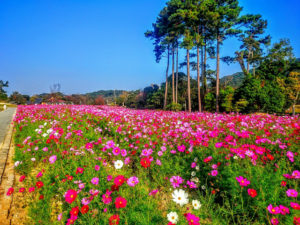 南あわじ市観光施設